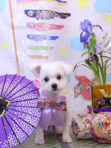 20240514レイくん